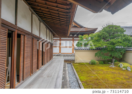 大徳寺 大徳寺 73114710