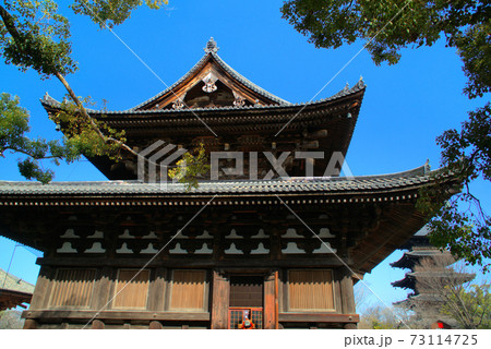 【世界遺産 古都京都の文化財】東寺金堂と五重塔と青空 京都府京都市南区 【世界遺産 古都京都の文化財】東寺金堂と五重塔と青空 京都府京都市南区 73114725