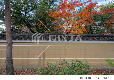大徳寺 大徳寺 73114871