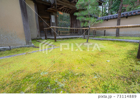 大徳寺 大徳寺 73114889