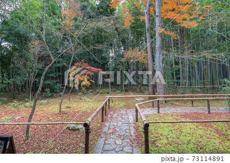 大徳寺 大徳寺 73114891