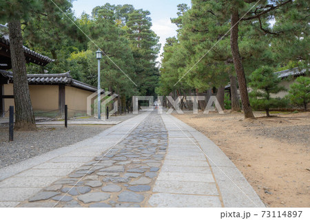 大徳寺 73114897