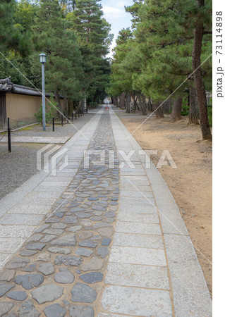 大徳寺 大徳寺 73114898