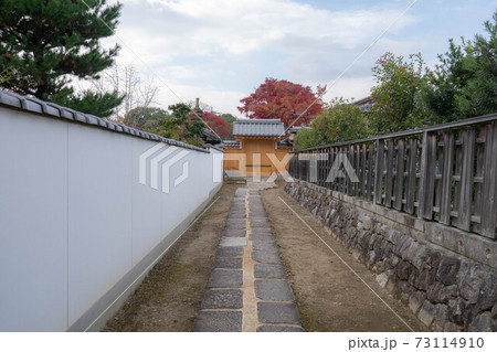 大徳寺 大徳寺 73114910