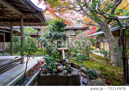 大徳寺 大徳寺 73114976