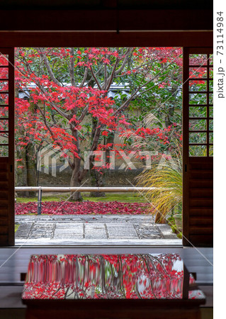 大徳寺 大徳寺 73114984
