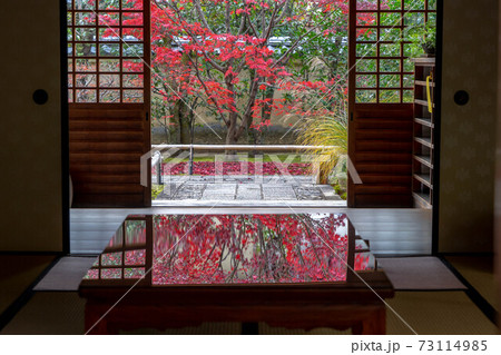 大徳寺 大徳寺 73114985