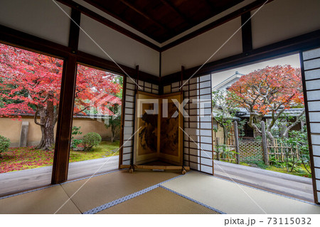 大徳寺 大徳寺 73115032