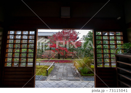 大徳寺 大徳寺 73115041