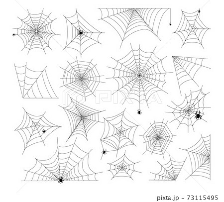Cobweb and spider Halloween scary element set 73115495