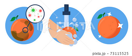 Washing grapefruit concept vector isolated. Dirty fruit Washing grapefruit concept vector isolated. Dirty fruit 73115525