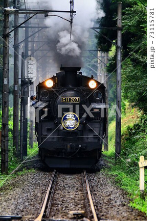 鬼怒川路を行く…蒸気機関車【C11-207】 73115781