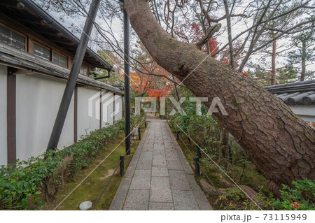 妙心寺 73115949