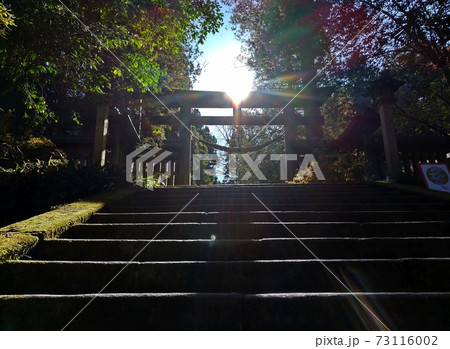 武蔵国二之宮　金鑚神社の光さす参道 73116002