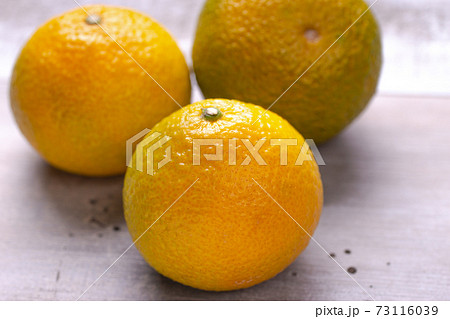 タンゼロ（スイートスプリング） 73116039