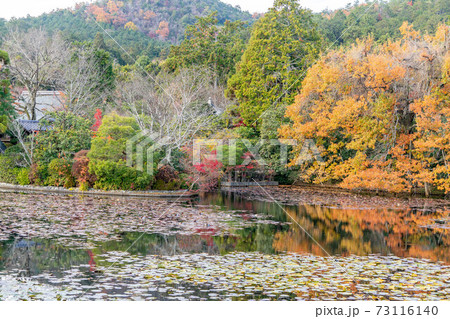 龍安寺 73116140