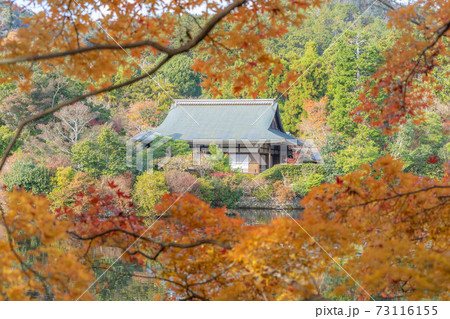龍安寺 73116155