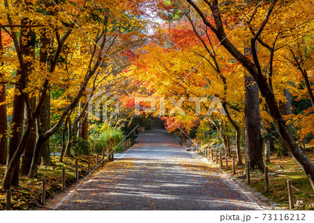 龍安寺 73116212