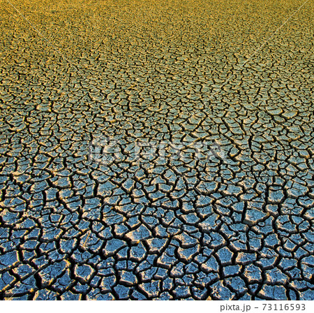 Dry soil Dry soil 73116593