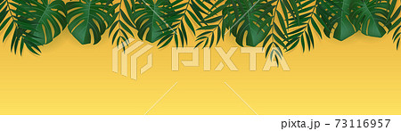 Natural Realistic Green Palm Leaf Tropical Background. Vector illustration EPS10 73116957