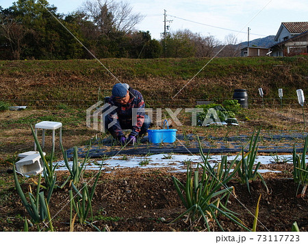 コロナ禍での自給自足生活 73117723