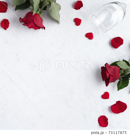 薔薇 バラ科 バラ 73117875