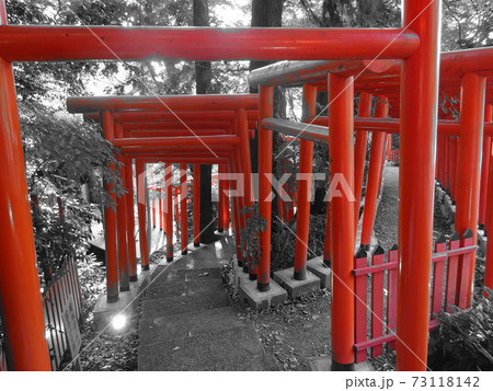 鳥居 並ぶ 分岐 パートカラー 赤 73118142