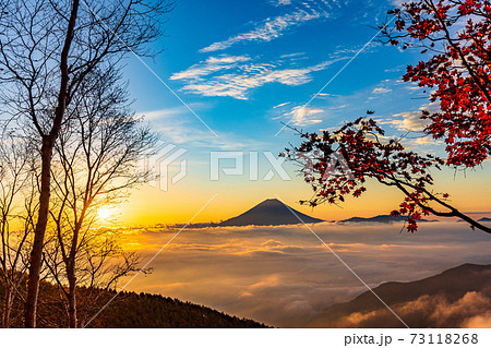 (山梨県)櫛形山の紅葉 大雲海に浮かぶ富士山 日の出 (山梨県)櫛形山の紅葉 大雲海に浮かぶ富士山 日の出 73118268