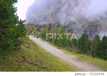 Mountain trail for walking. Misty autumn morning. Selective focus. 73118749