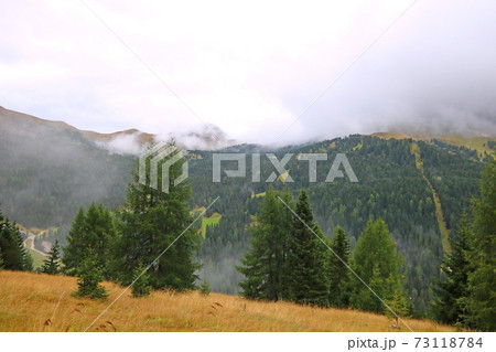 The peaks of the Dolomites in Italy are covered in fog. Early wet foggy morning. Beginning of autumn. Clean fresh air, lack of people. Selective focus. 73118784
