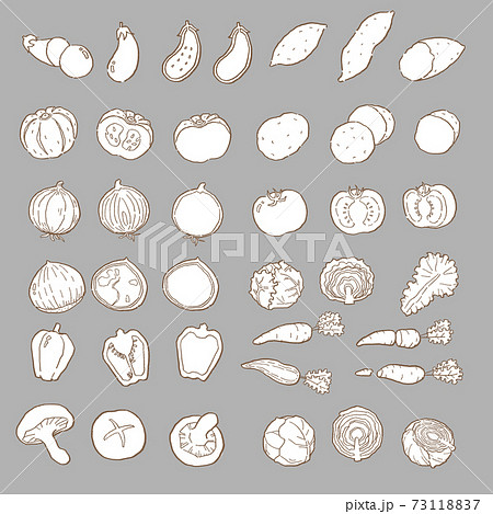 線画 野菜のベクターイラストセット 線画 野菜のベクターイラストセット 73118837