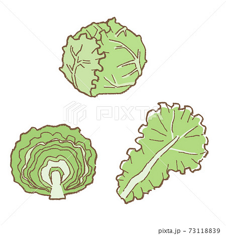 線画　野菜　レタスのベクターイラストセット 73118839
