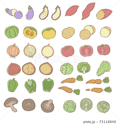 線画 カラー 野菜のベクターイラストセットのイラスト素材 [73118840] - Pixta