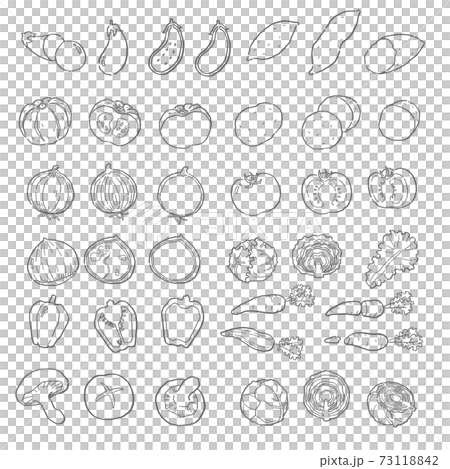 線画　野菜のベクターイラストセット 73118842