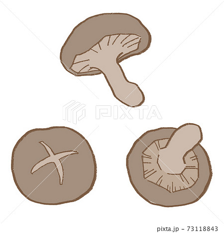 線画　野菜　椎茸のベクターイラストセット 73118843