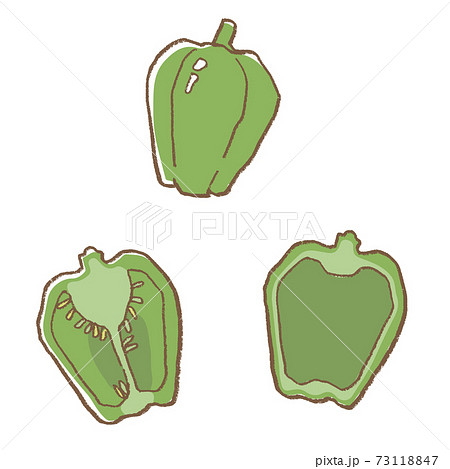 線画　野菜　ピーマンのベクターイラストセット 73118847
