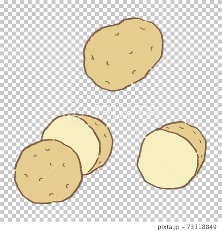 線画　野菜　じゃがいものベクターイラストセット 73118849