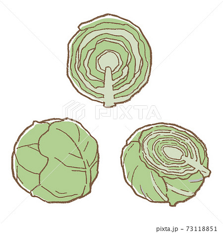 線画　野菜　キャベツのベクターイラストセット 73118851