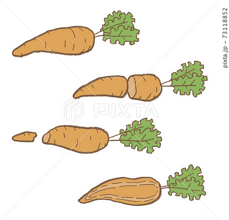 線画　野菜　人参のベクターイラストセット 73118852