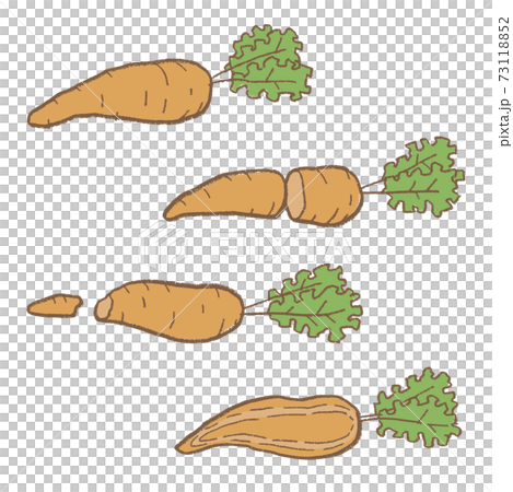 線画　野菜　人参のベクターイラストセット 73118852