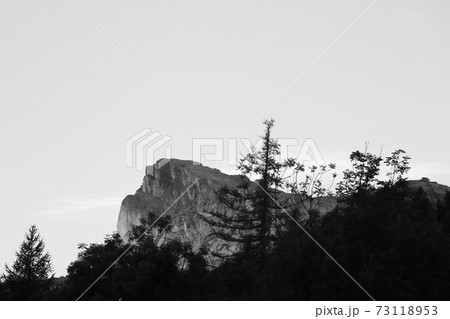 Mystical view of the tops of mountains and trees. Black and white photo. Selective focus. 73118953