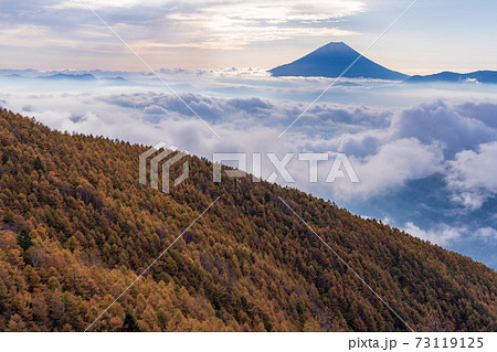 (山梨県)櫛形山の紅葉 大雲海に浮かぶ富士山 (山梨県)櫛形山の紅葉 大雲海に浮かぶ富士山 73119125