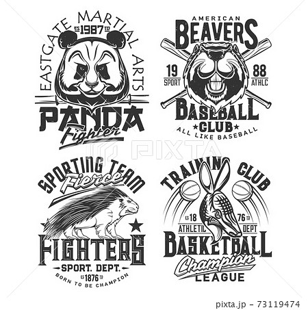 Baseball, basketball team t shirt print sport club 73119474