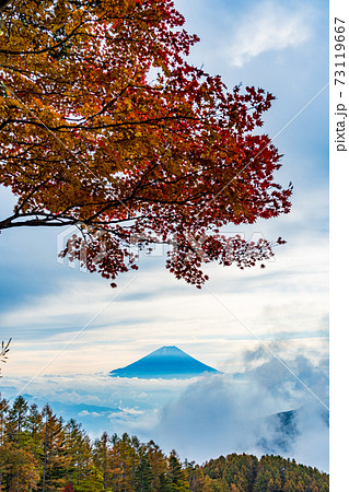 (山梨県)櫛形山の紅葉 大雲海に浮かぶ富士山 (山梨県)櫛形山の紅葉 大雲海に浮かぶ富士山 73119667