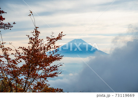 (山梨県)櫛形山の紅葉 大雲海に浮かぶ富士山 (山梨県)櫛形山の紅葉 大雲海に浮かぶ富士山 73119669