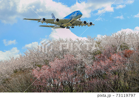 まもなく成田空港に着陸・A380と桜 まもなく成田空港に着陸・A380と桜 73119797