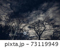 奇界 73119949