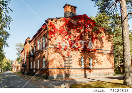 Autumnal view of red brick building covered by red foliage of parthenocissus. Autumnal view of red brick building covered by red foliage of parthenocissus. 73120318