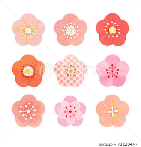 梅の花イラストセットのイラスト素材