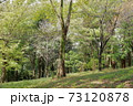 公園 73120878